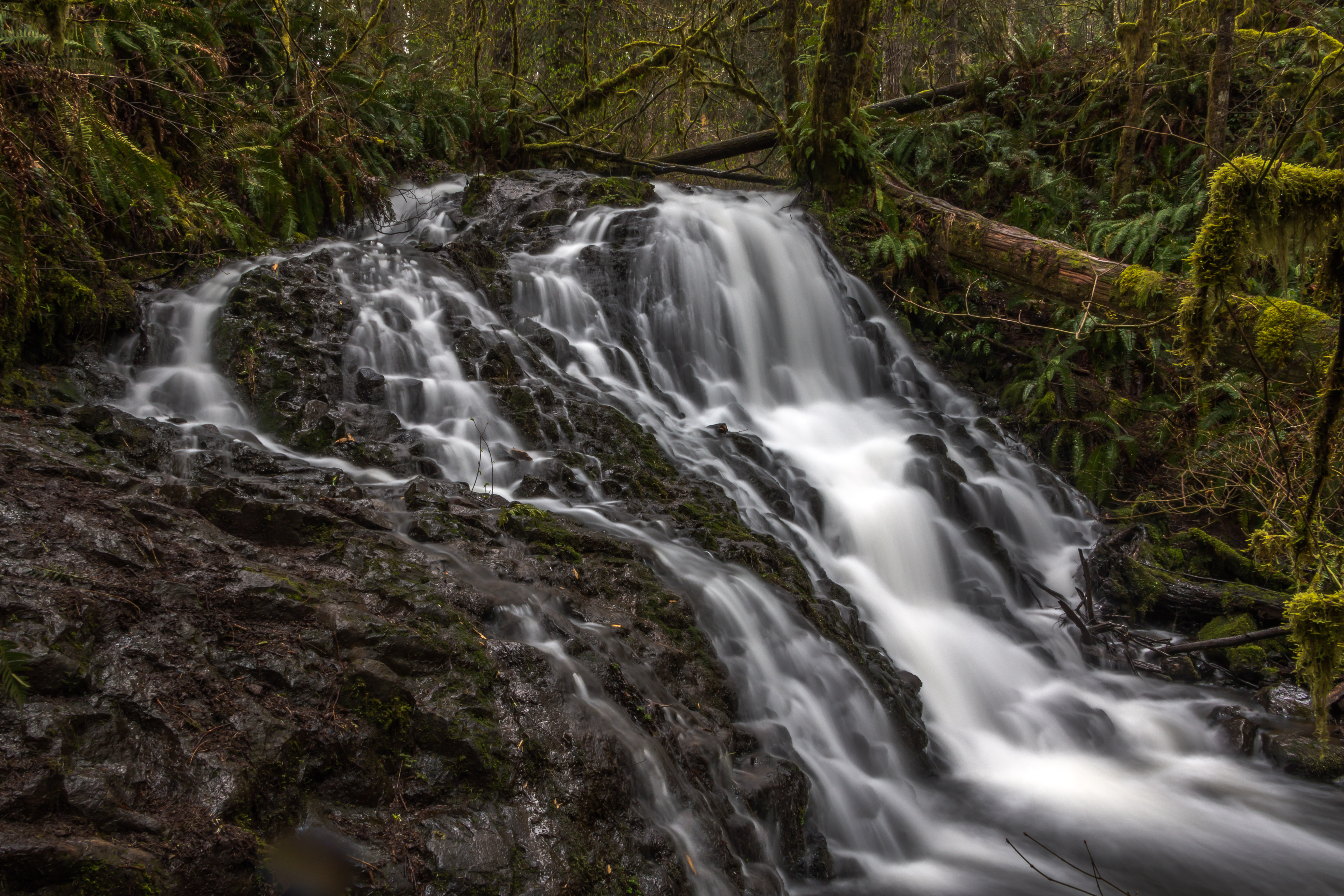Mima Falls in Capitol Forest